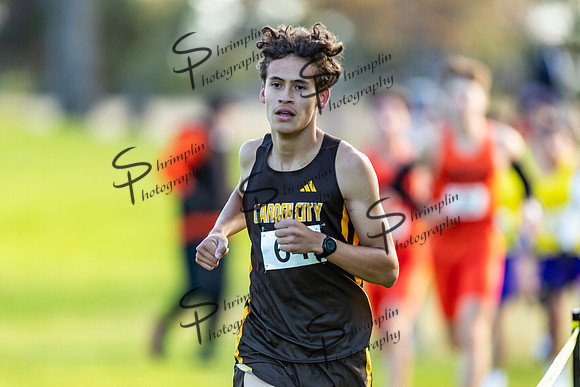 GCCC Mens KJCCC Region VI Cross Country Champions hips0045