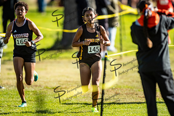 GCCC Womens KJCCC Region VI Cross Country Champions hips0053
