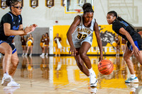 GCCC vs Pratt Community College w 0037