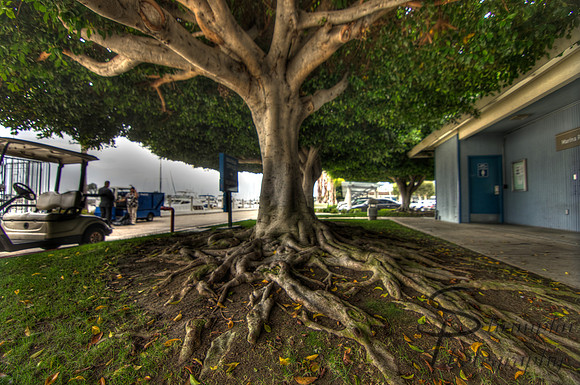 2013 San Diego - 1D Mark III {0299, 0300, 0301, 0302, 0303, 0304, 0305}
