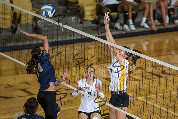 GCCC vs Frank Phillips College 0008