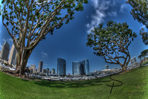 San Deigo Trip (summer) [2011]  {391, 392, 393, 394, 395, 396, 397}